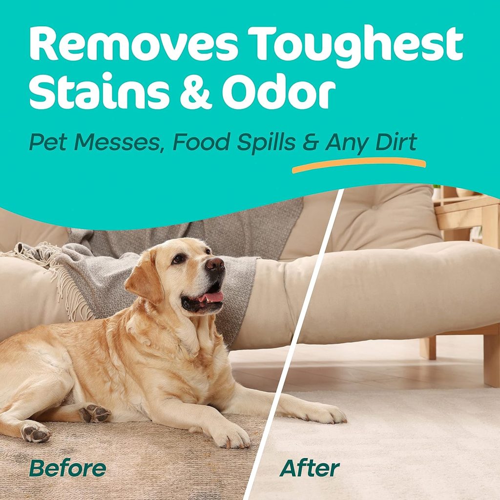 Sunny and Honey Carpet Cleaning Shampoo