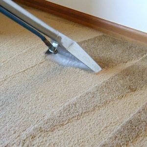 Steam cleaning carpets