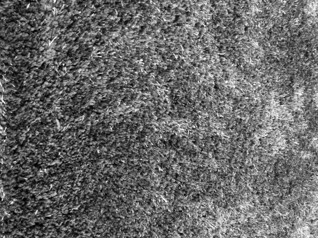 Smelly gray carpet