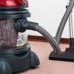 Sustainable Carpet Cleaning in Lakeland, FL