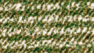 The Top Eco-Friendly Carpet Materials