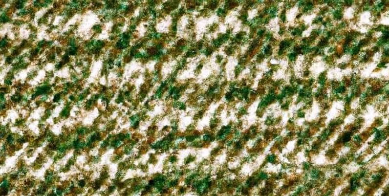 The Top Eco-Friendly Carpet Materials