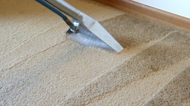 Green Carpet Cleaning