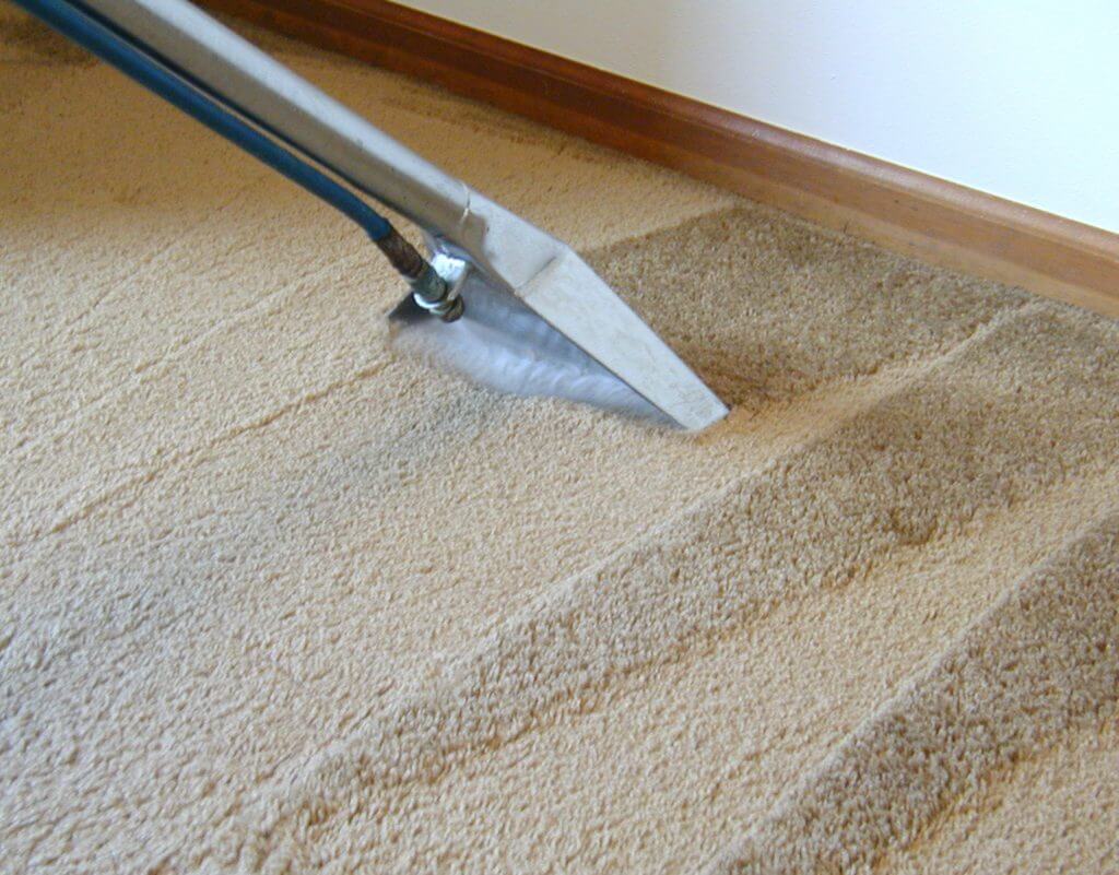 Green Carpet Cleaning in Action Case Study Lakeland Carpet Cleaning Pro
