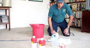Green carpet cleaning