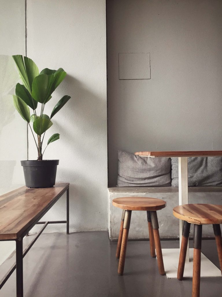 house plant in a seating area