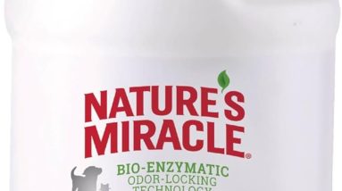 Natures-Miracle-Carpet-Shampoo-Review-2026-Does-the-Bio-Enzymatic-Formula-Really-Work